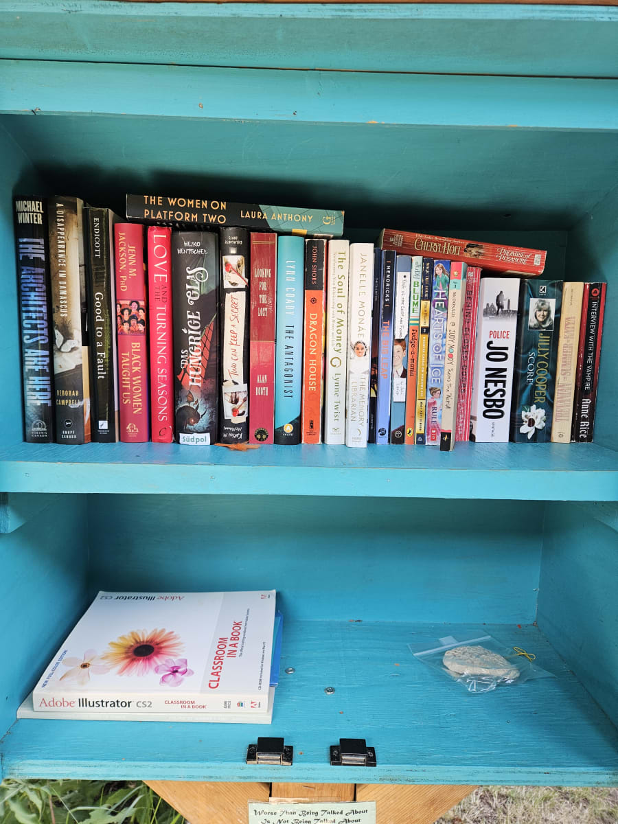 Shelfie from Jun 28, 2026