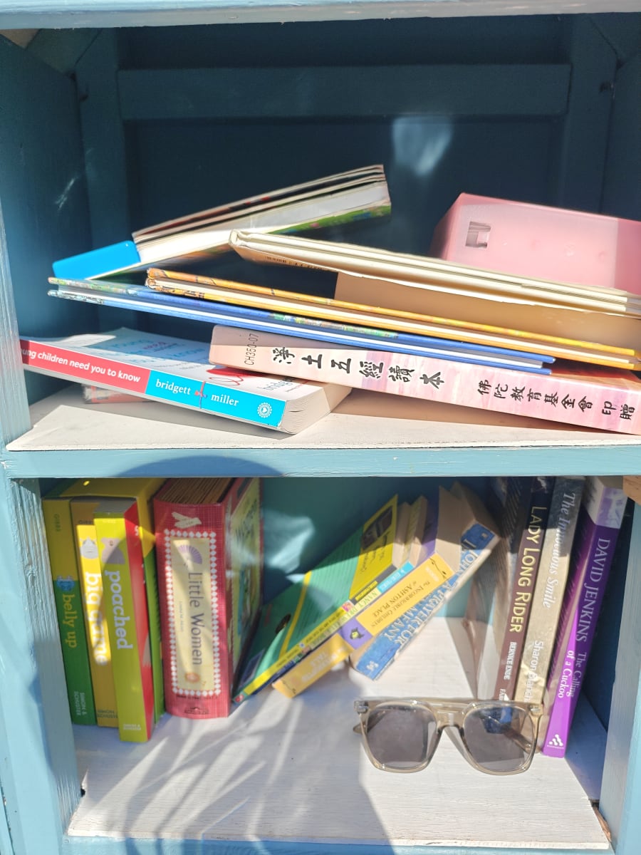 Shelfie from Jul 1, 2026