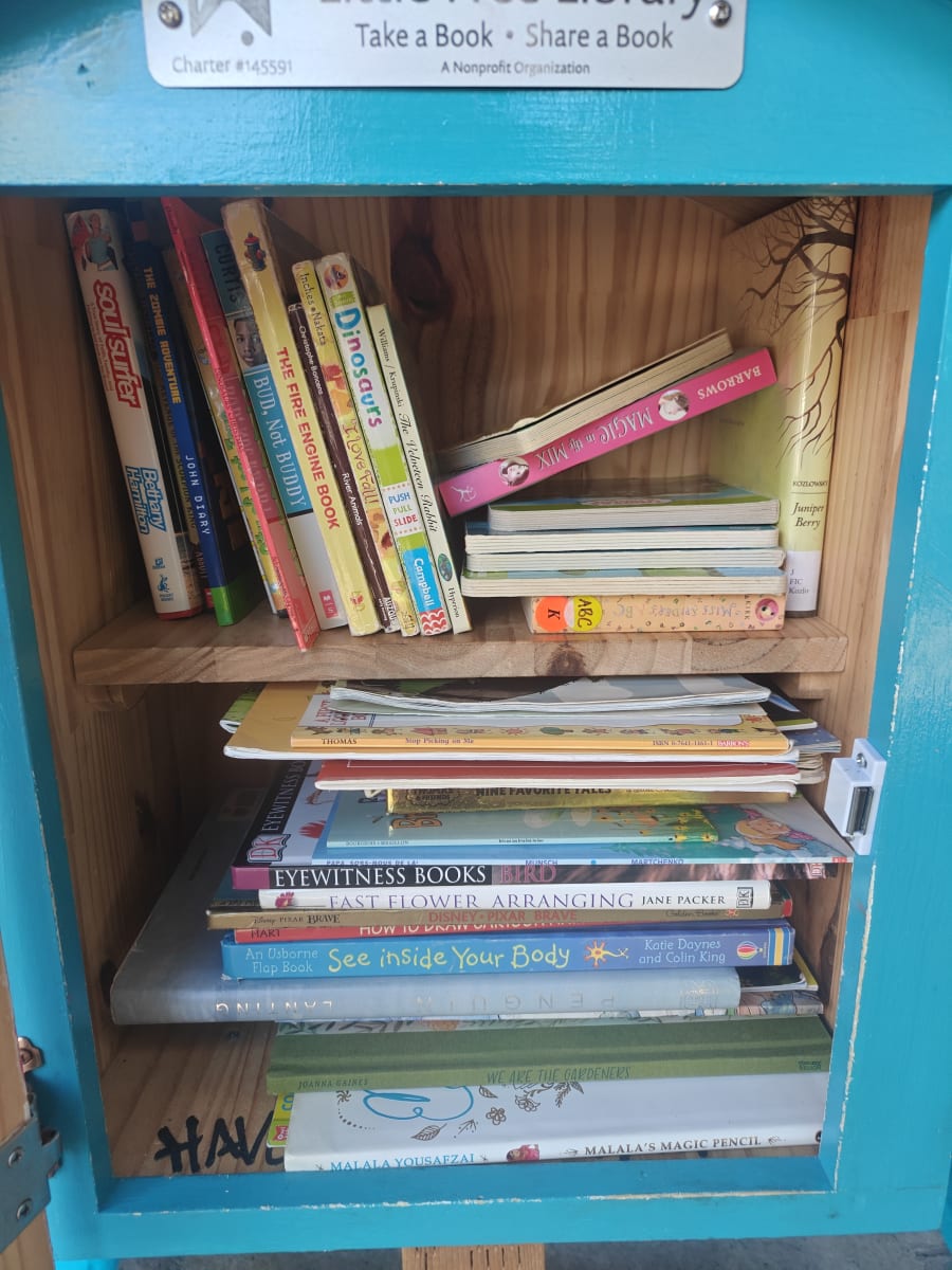 Shelfie from Jul 1, 2026