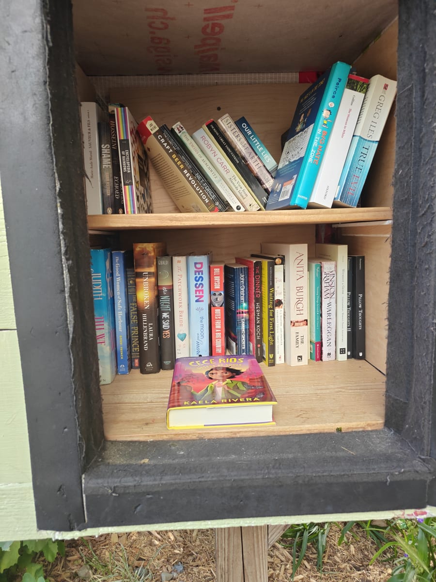 Shelfie from Jul 1, 2026