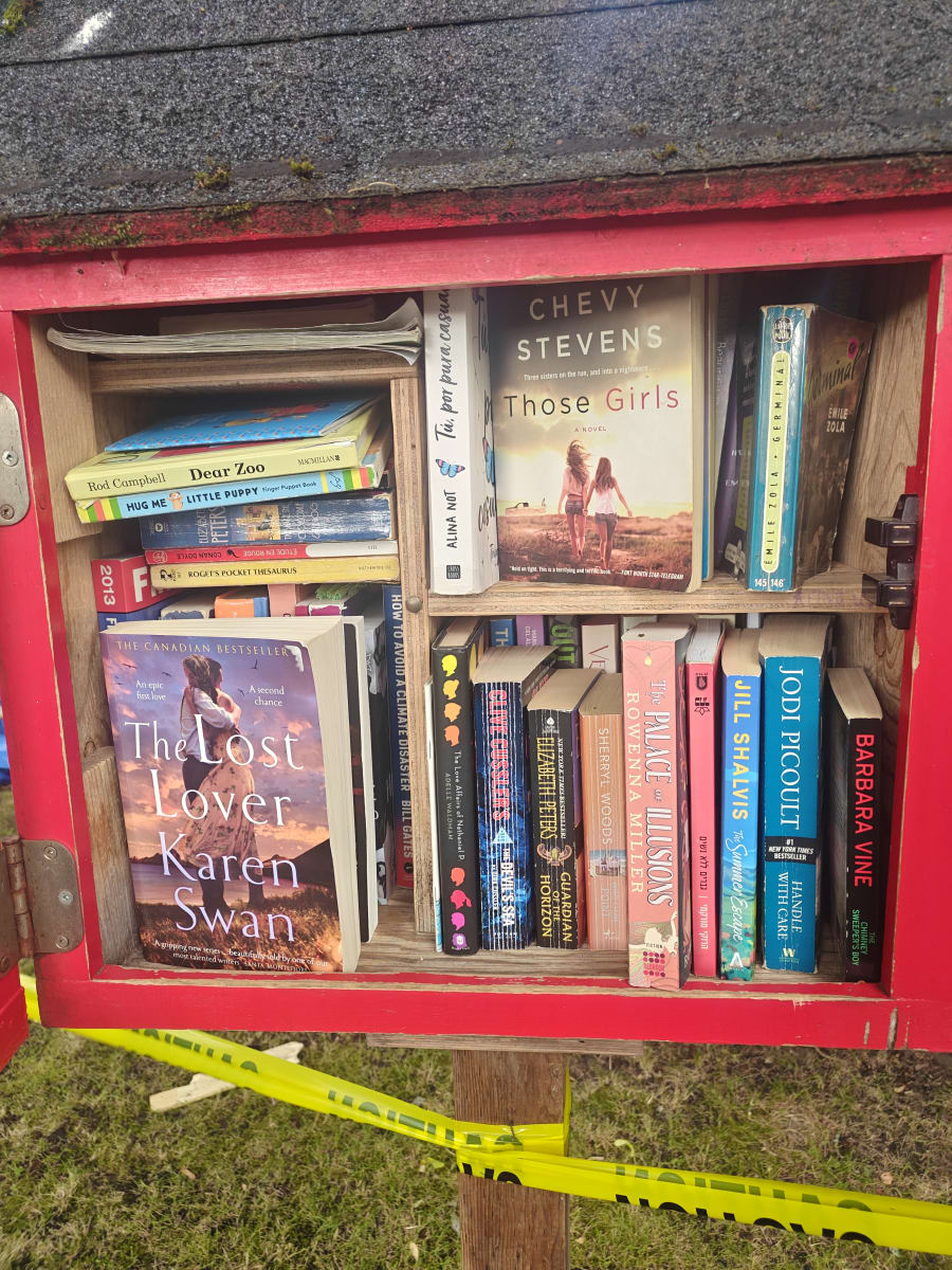 Shelfie from Jul 1, 2026