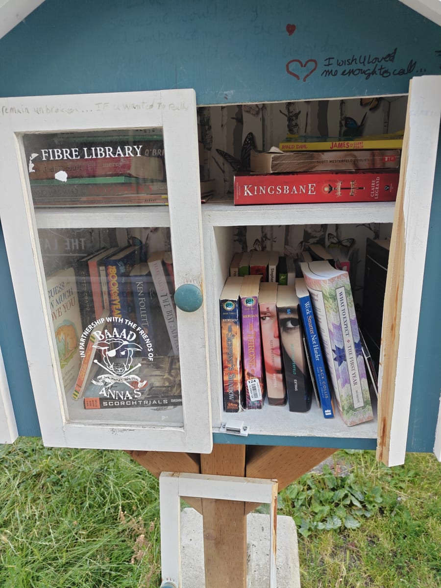 Shelfie from Jul 1, 2026