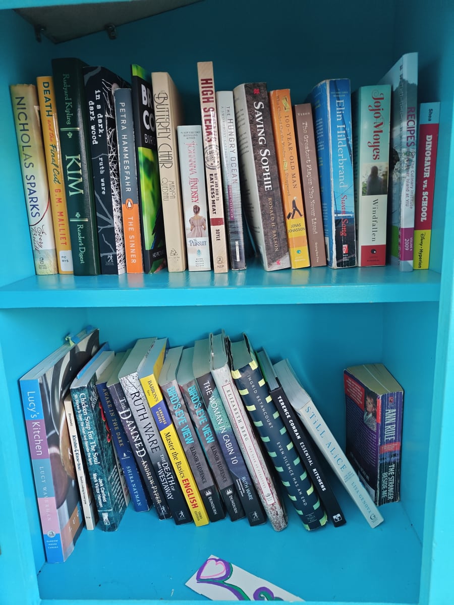 Shelfie from Jul 1, 2026