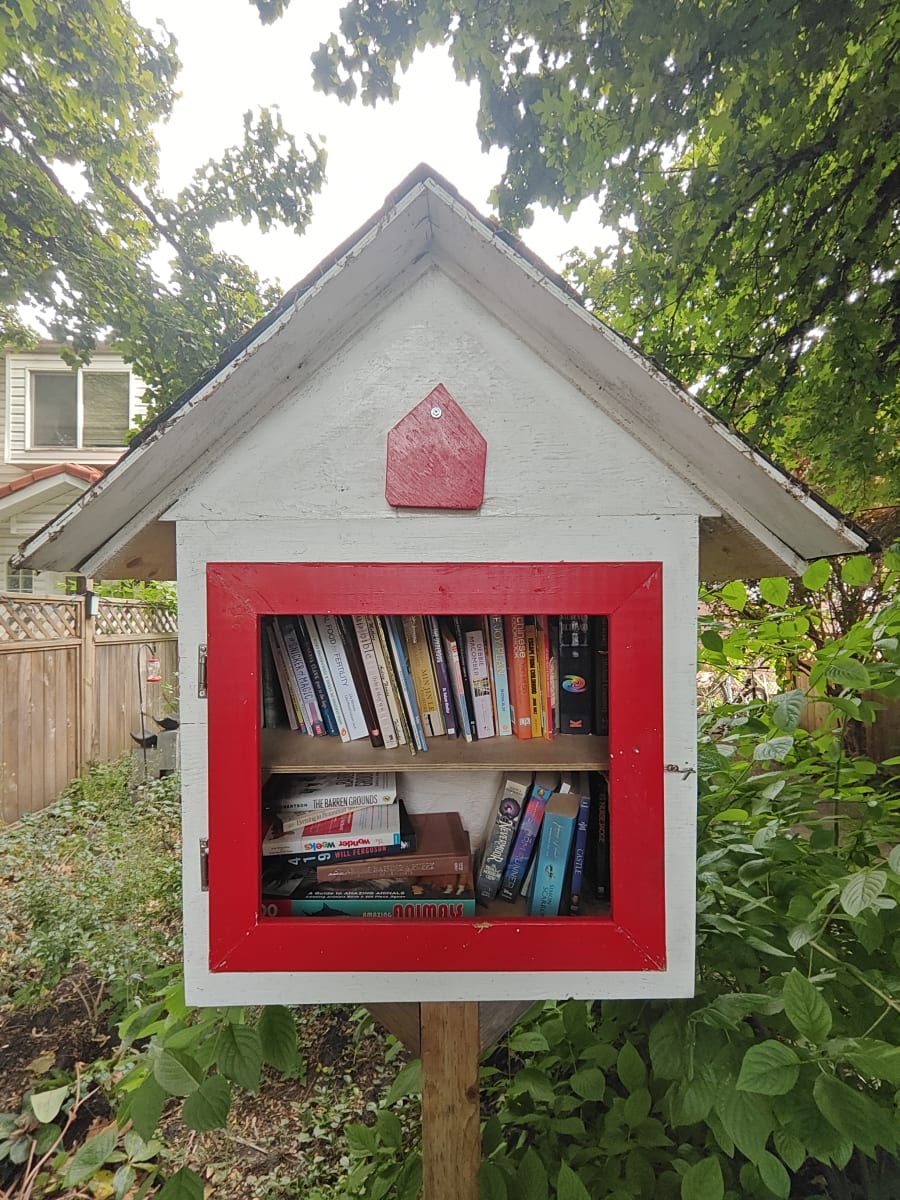Shelfie from Jul 9, 2026