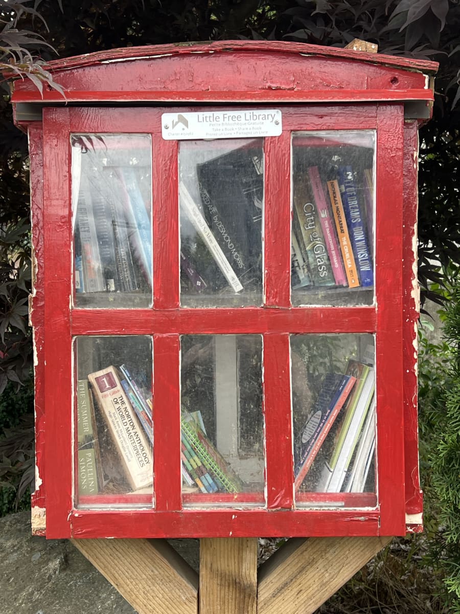 Shelfie from Jul 10, 2026