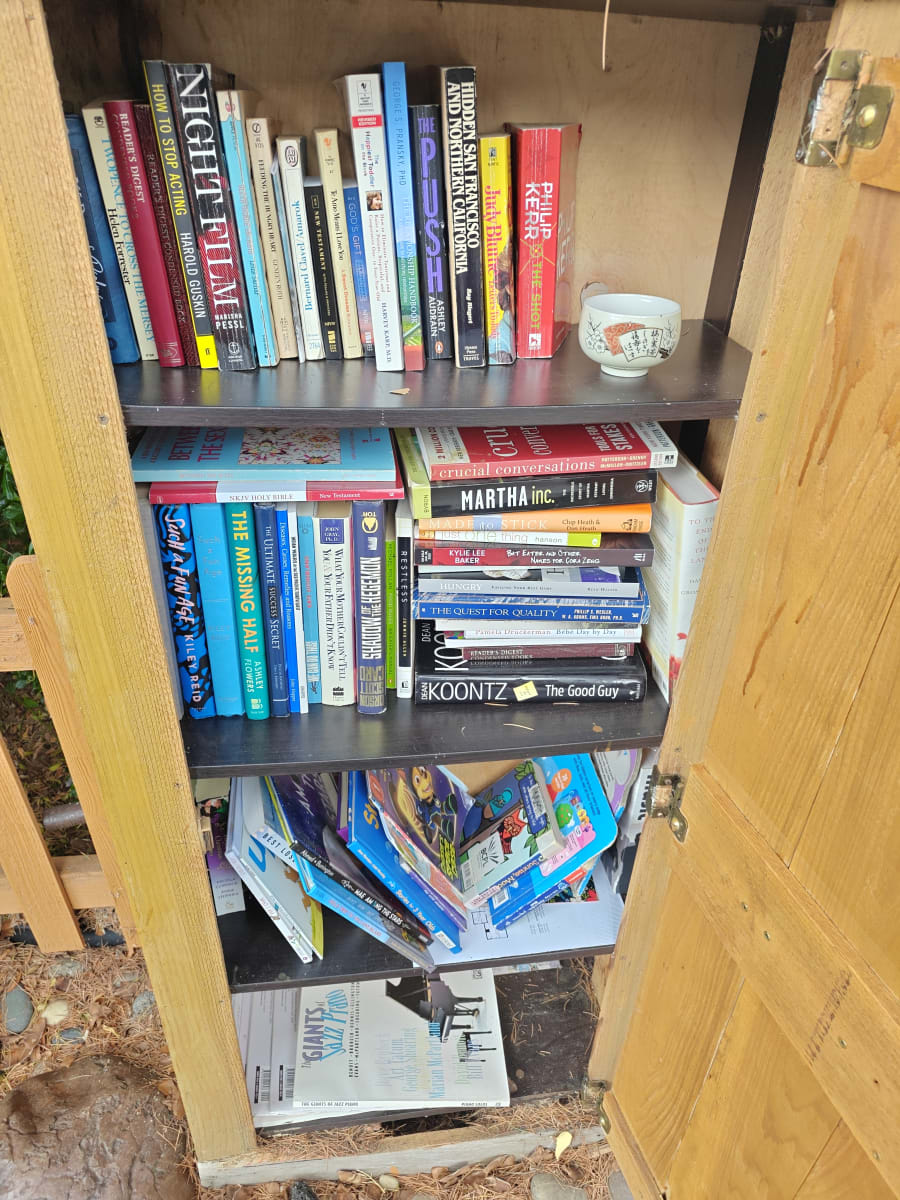 Shelfie from Jul 18, 2026