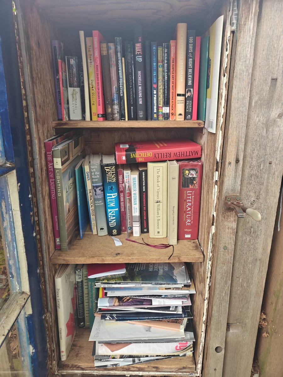 Shelfie from Jul 19, 2026
