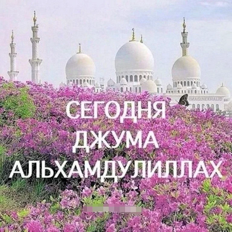 Рай Фирдаус Джаннат