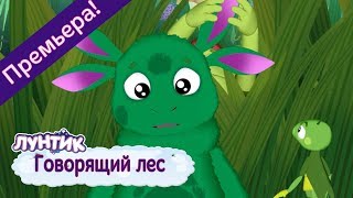 Не жизнь, а сказка! Жены олигархов