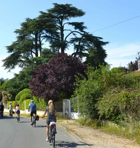 boat-bike-tour-bordeaux