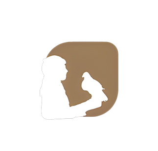 مشروع تصميم متجر