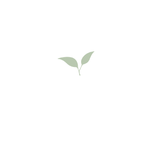 مشروع تصميم متجر