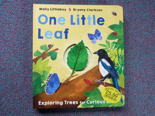 Anssevvytc7onhpqxoqp