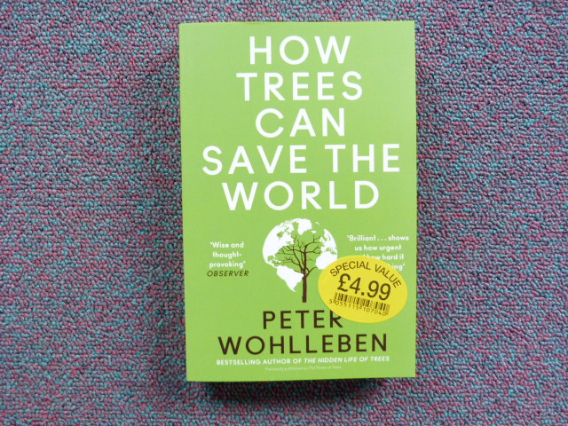 E38np4igzzrdwii6vn1x