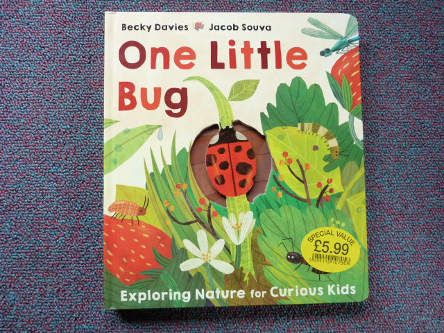 Efpkungbur51cbp6roam