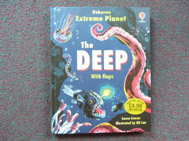 Fklwjyv32hvalwfoct81