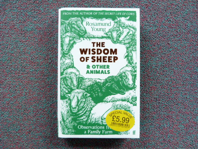 Hugab7cobm90ljkxkj2q