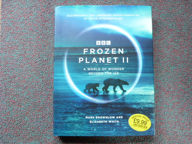 Iztmfcpozusozekvylui