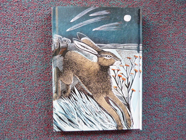 Kqkiiv62gau2jdx0zbc7