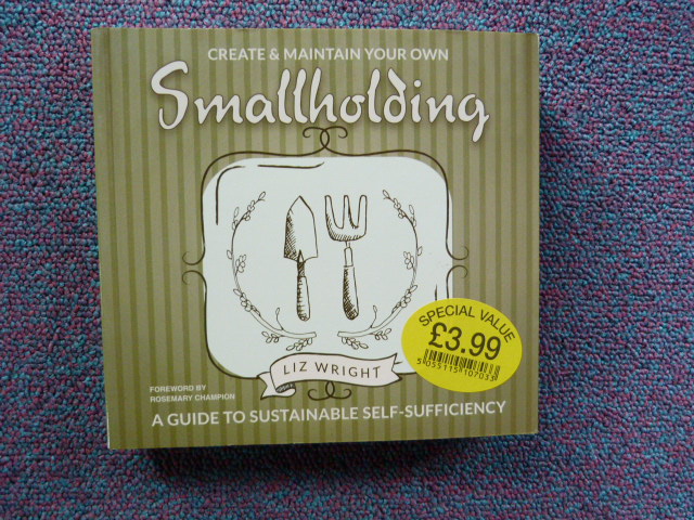 M5emmysxyzkqgw8taz3c