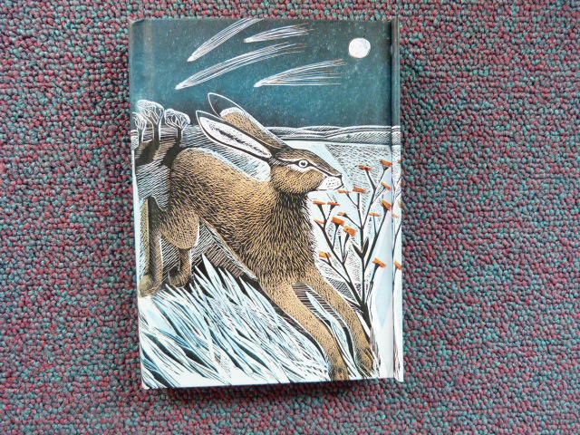 Meqvbwakr8w0erbx70kw