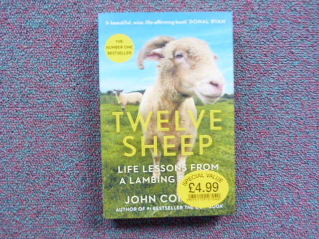 Mnbyrfhvojiq9ald3jxk