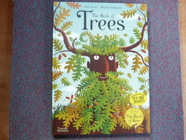 Mt2pmm2xzj7pfe1bhvqz