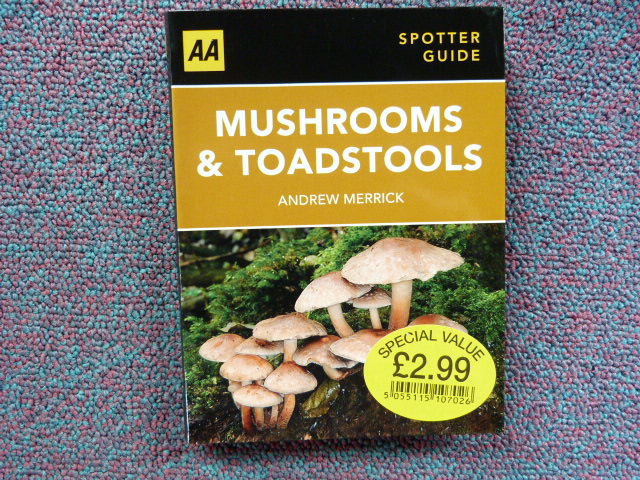 Mv1okpxyjmixj5hkeqea