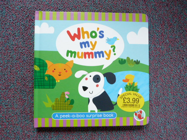 Nb06p0wpqqsp6v81zifh