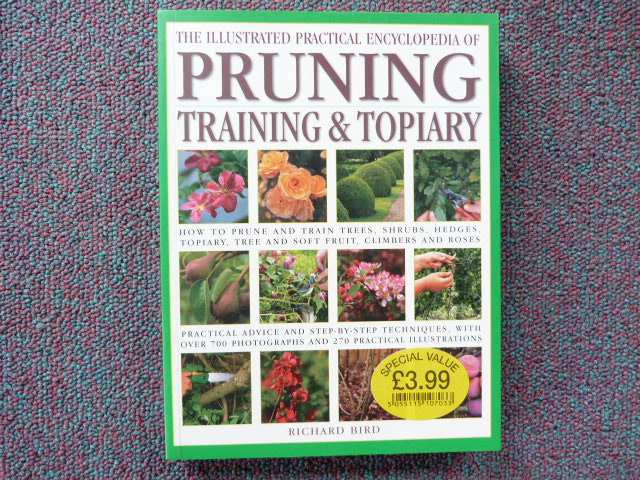 Pjxtleaigx2alxitjdtx