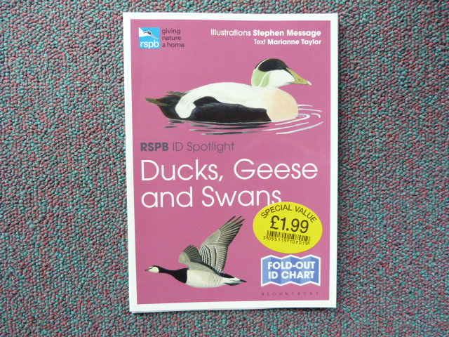 Qhgt6giuu2asbiyewecr