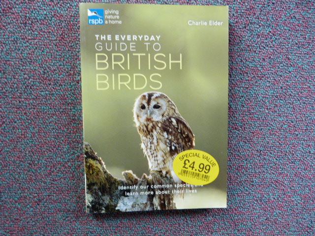 Qpd03tum6bq4bypeep2o