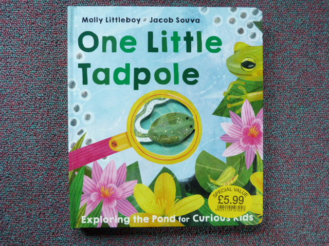 Rwpxirze8eijm36yunw2