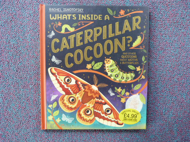 Uaapxlcfi53u0rjvulxo