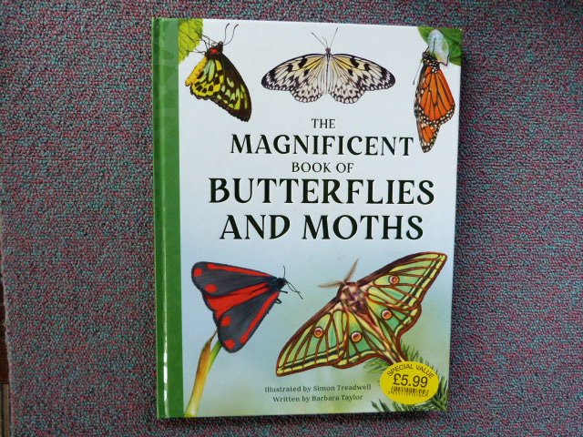 Uwqipjvfwgasvyp91h9o