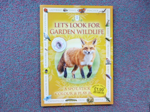 V7ifycc66o50wmmo4sz8