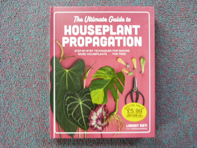 Vxlbiqdxvnj235hqa5ma