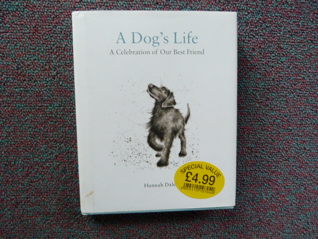 Wc95aexk1ob68t6hvgwn