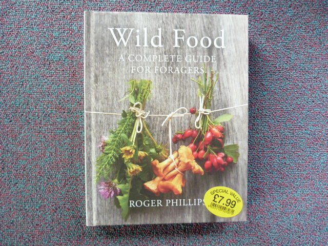 Xs9b3ooya475czorruq3