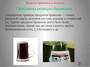 Процессы брожения и гниения