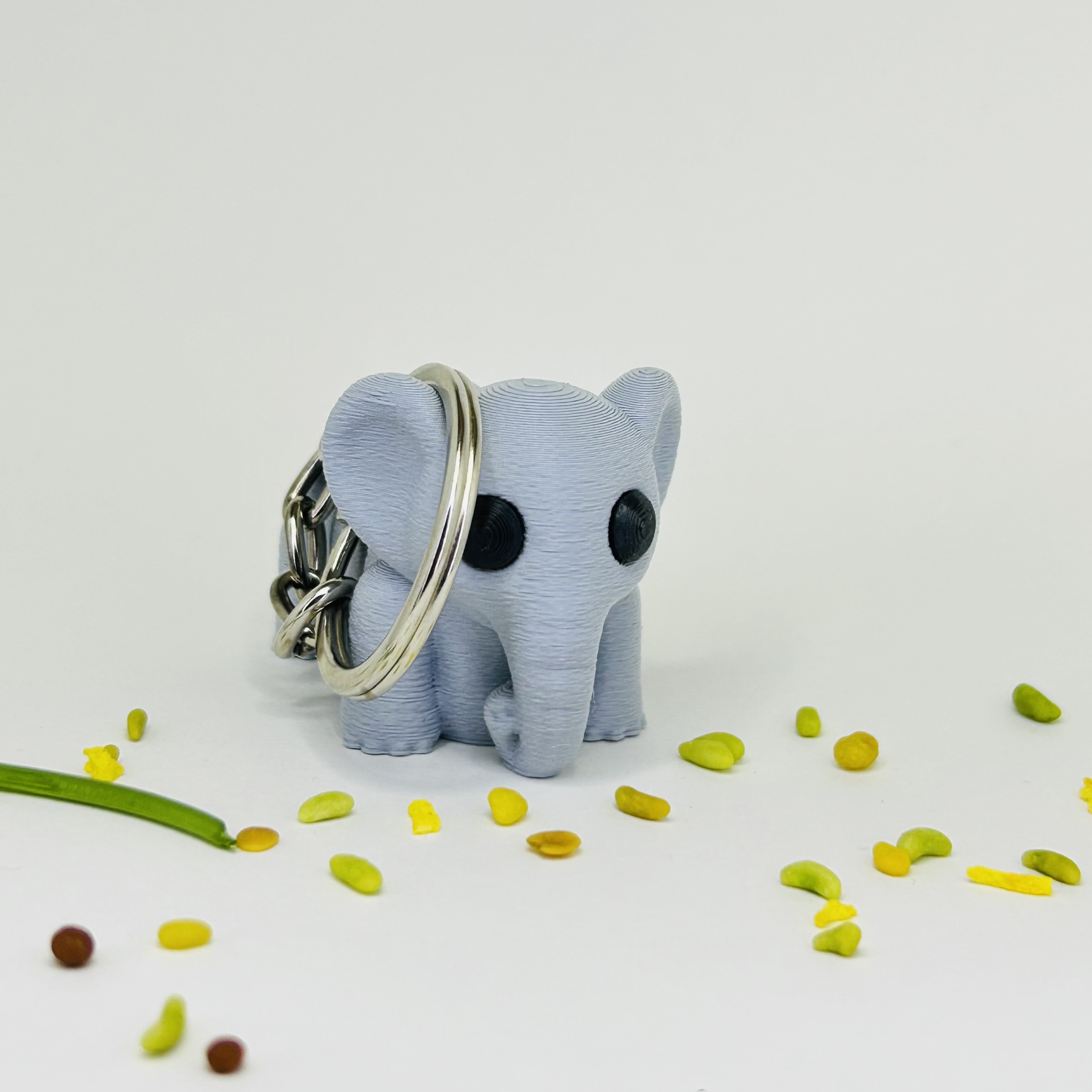 Baby Elephant