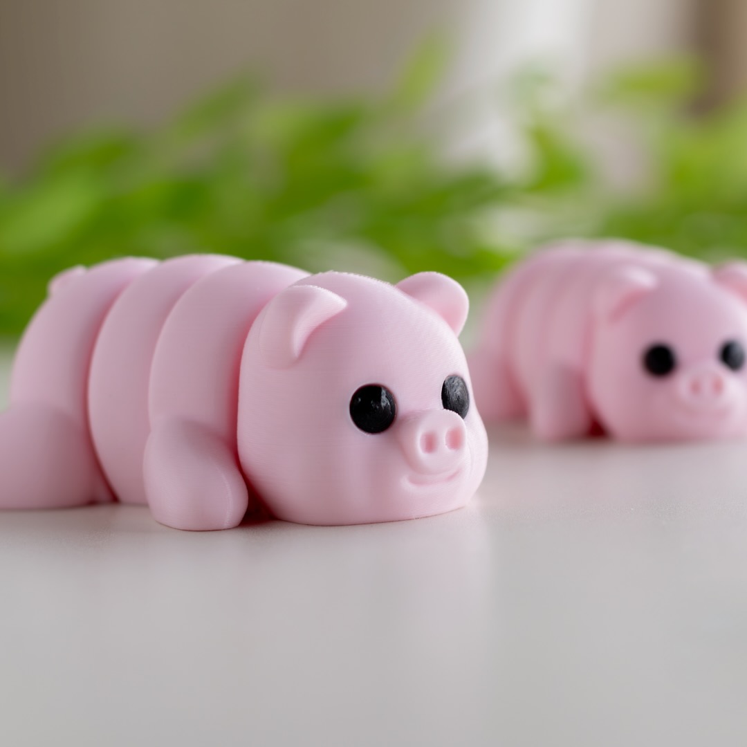 Baby Pig