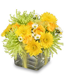 Lemon-Lime Zest Arrangement