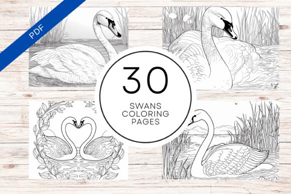 30 Swans Coloring Pages Preview with Wood Grain Background