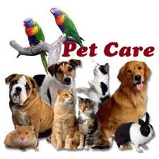 Best Boulder Pet Care