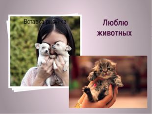 Люблю животных