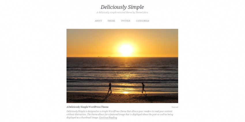 Wordpress шаблоны: 30 Wordpress шаблонов портфолио фотографа