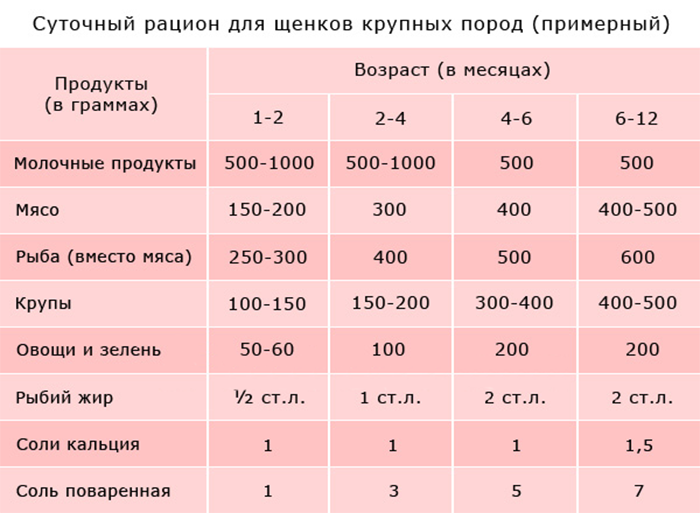 Примерная схема кормления щенка крупных пород