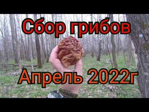 «Новая Фабрика звезд». 7-й отчетный концерт