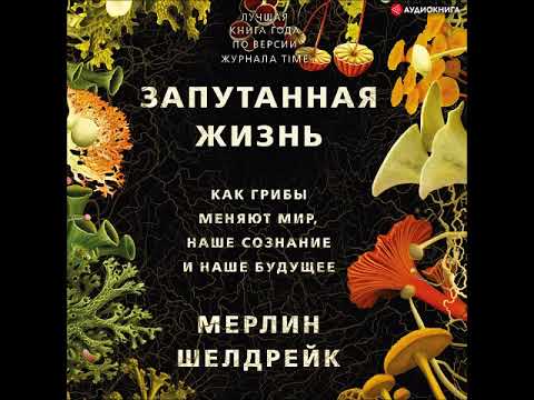 Фабрика звезд 2. Жизнь в звездном доме